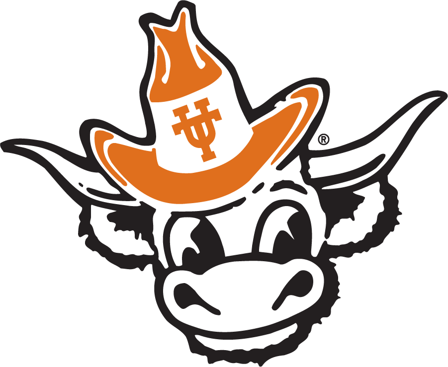 Texas Longhorns 1981-2011 Secondary Logo diy iron on heat transfer